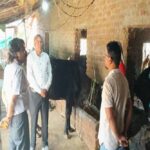 पशुओं में नस्ल सुधार का कार्य बेहतर ढंग से करें : प्रमुख सचिव  उमराव