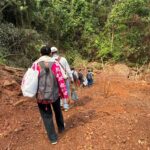 मुख्यमंत्री स्वस्थ बस्तर अभियान