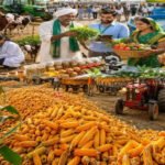 MP Krishi Mandi Categorization: 6 करोड़ कमाई और 2.5 लाख टन आवक पर मिलेगी ‘क’ श्रेणी, जानें मध्य प्रदेश सरकार का नया फॉर्मूला